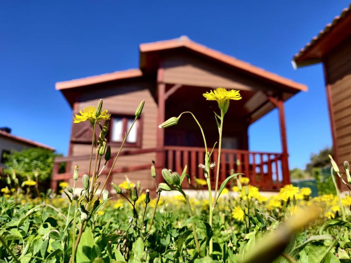 Camping Bungalow Serra De Prades Resort Vilanova de Prades Экстерьер фото